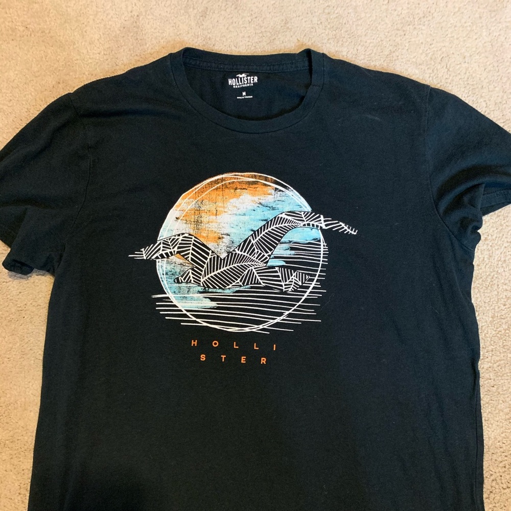 Men’s hollister T-shirt